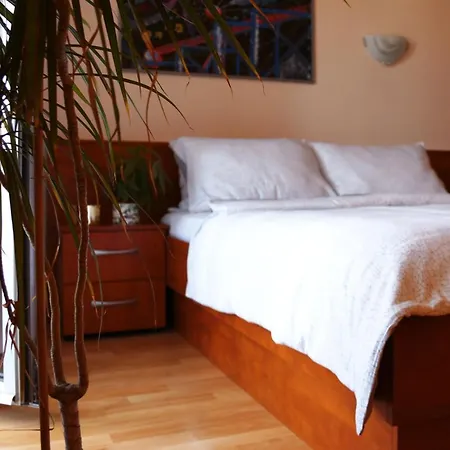 アパート Dental *